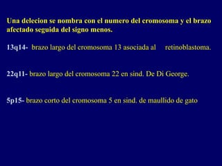 Una delecion se nombra con el numero del cromosoma y el brazo
afectado seguida del signo menos.
13q14- brazo largo del cromosoma 13 asociada al retinoblastoma.
22q11- brazo largo del cromosoma 22 en sind. De Di George.
5p15- brazo corto del cromosoma 5 en sind. de maullido de gato
 