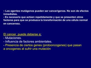 - Los agentes mutágenos pueden ser cancerígenos. No son de efectos
inmediatos.
- Es necesario que actúen repetidamente y que se presenten otros
factores para que se produzca la transformación de una célula normal
en cancerosa.
El cancer puede deberse a:
- Mutaciones.
- Influencia de factores ambientales.
- Presencia de ciertos genes (protooncogenes) que pasan
a oncogenes al sufrir una mutación
 