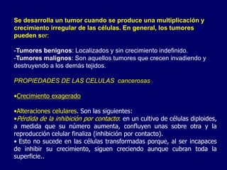 Se desarrolla un tumor cuando se produce una multiplicación y
crecimiento irregular de las células. En general, los tumores
pueden ser:
-Tumores benignos: Localizados y sin crecimiento indefinido.
-Tumores malignos: Son aquellos tumores que crecen invadiendo y
destruyendo a los demás tejidos.
PROPIEDADES DE LAS CELULAS cancerosas .
•Crecimiento exagerado
•Alteraciones celulares. Son las siguientes:
•Pérdida de la inhibición por contacto: en un cultivo de células diploides,
a medida que su número aumenta, confluyen unas sobre otra y la
reproducción celular finaliza (inhibición por contacto).
• Esto no sucede en las células transformadas porque, al ser incapaces
de inhibir su crecimiento, siguen creciendo aunque cubran toda la
superficie..
 
