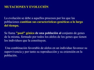 MUTACIONES Y EVOLUCIÓN
La evolución se debe a aquellos procesos por los que las
poblaciones cambian sus características genéticas a lo largo
del tiempo.
Se llama "pool" génico de una población al conjunto de genes
de la misma, formado por todos los alelos de los genes que tienen
los individuos que la constituyen.
Una combinación favorable de alelos en un individuo favorece su
supervivencia y por tanto su reproducción y su extensión en la
población.
 