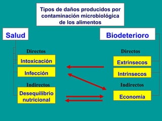 Importancia de la MicrobiologíaImportancia de la Microbiología
en la naturaleza.en la naturaleza.
• Funcionamiento de los ...