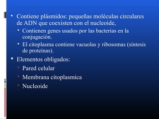  Contiene plásmidos: pequeñas moléculas circulares 
de ADN que coexisten con el nucleoide, 
 Contienen genes usados por las bacterias en la 
conjugación. 
 El citoplasma contiene vacuolas y ribosomas (síntesis 
de proteínas). 
 Elementos obligados: 
 Pared celular 
 Membrana citoplasmica 
 Nucleoide 
 