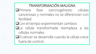 21
TRANSFORMACIÓN MALIGNA
Primera fase carcinogénesis: células
cancerosas y normales no se diferencian con
facilidad
Con el tiempo experimentan cambios
La célula transformada reemplaza a las
células normales
El cáncer se desarrolla cuando la célula crece
fuera de control.
 