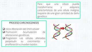 22
PROCESO CARCINOGENESIS
 Inicio Alteración del DNA celular
 Promoción Acumulación de
alteraciones genéticas
 Progresión Las células alteradas
perpetuán su crecimiento y
proliferación e invaden tejidos
Para que una célula pueda
transformarse y adquiera
características de una célula maligna,
requiere de una gran cantidad de daño
genético
 