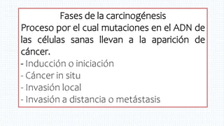 Fases de la carcinogénesis
Proceso por el cual mutaciones en el ADN de
las células sanas llevan a la aparición de
cáncer.
- Inducción o iniciación
- Cáncer in situ
- Invasión local
- Invasión a distancia o metástasis
 