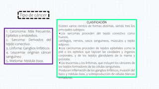 1. Carcinoma: Más frecuente.
Epitelios y endotelios.
2. Sarcoma: Derivados del
tejido conectivo.
3. Linfoma: Ganglios linfáticos
4. Leucemia: originan cáncer
sanguíneo
5. Mieloma: Médula ósea.
Tipo de cáncer
CLASIFICACIÓN
Existen varios cientos de formas distintas, siendo tres los
principales subtipos:
•Los sarcomas proceden del tejido conectivo como
huesos,
cartílagos, nervios, vasos sanguíneos, músculos y tejido
adiposo.
•Los carcinomas proceden de tejidos epiteliales como la
piel o los epitelios que tapizan las cavidades y órganos
corporales, y de los tejidos glandulares de la mama y
próstata.
•Las leucemias y los linfomas, que incluyen los cánceres de
los tejidos formadores de las células sanguíneas.
Producen inflamación de los ganglios linfáticos, invasión del
bazo y médula ósea, y sobreproducción de células blancas
inmaduras.
 