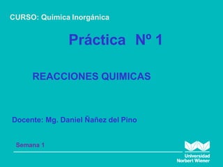 Práctica Nº 1
CURSO: Química Inorgánica
Docente: Mg. Daniel Ñañez del Pino
Semana 1
REACCIONES QUIMICAS
 