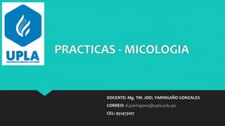 PRACTICAS - MICOLOGIA
DOCENTE: Mg. TM. JOEL YARINGAÑO GONZALES
CORREO: d.jyaringano@upla.edu.pe
CEL: 951473107
 