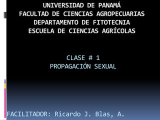 CLASE # 1
PROPAGACIÓN SEXUAL
FACILITADOR: Ricardo J. Blas, A.
UNIVERSIDAD DE PANAMÁ
FACULTAD DE CIENCIAS AGROPECUARIAS
DEPARTAMENTO DE FITOTECNIA
ESCUELA DE CIENCIAS AGRÍCOLAS
 