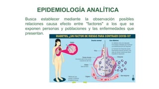 Busca establecer mediante la observación posibles
relaciones causa efecto entre "factores" a los que se
exponen personas y poblaciones y las enfermedades que
presentan.
EPIDEMIOLOGÍA ANALÍTICA
 