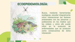 ECOEPIDEMIOLOGÍA:
Busca, mediante herramientas
ecológicas, estudiar integralmente
cómo interaccionan los factores
ambientales con las personas y
poblaciones en los medios que
los rodean y cómo ello puede
influir en la evolución de
enfermedades que se producen
como consecuencia de dicha
interacción.
 