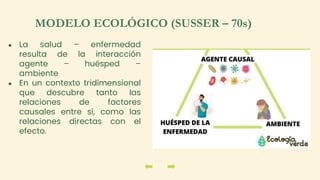 ● La salud – enfermedad
resulta de la interacción
agente – huésped –
ambiente
● En un contexto tridimensional
que descubre tanto las
relaciones de factores
causales entre sí, como las
relaciones directas con el
efecto.
MODELO ECOLÓGICO (SUSSER – 70s)
 