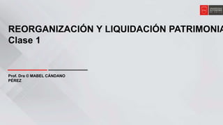 REORGANIZACIÓN Y LIQUIDACIÓN PATRIMONIA
Clase 1
Prof. Dra © MABEL CÁNDANO
PÉREZ
 