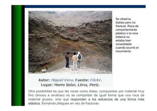 Se observa
doblez pero no
fractura. Roca de
comportamiento
plástico o la roca
todavía no
estaba bien
consolidada
cuando ocurrió el
movimiento
Otra posibilidad es que las rocas como éstas, compuestas por material muy
fino (limoso a arcilloso) no se comportan de igual forma que una roca de
material grueso, sino que responden a los esfuerzos de una forma mresponden a los esfuerzos de una forma mresponden a los esfuerzos de una forma mresponden a los esfuerzos de una forma máááássss
eleleleláááásticasticasticastica, formando pliegues en vez de fracturas.
 