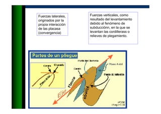 Fuerzas verticales, como
resultado del levantamiento
debido al fenómeno de
subducciónn, en la que se
levantan las cordillerass o
relieves de plegamiento.
Fuerzas laterales,
originados por la
propia interacción
de las placasa
(convergencia)
 