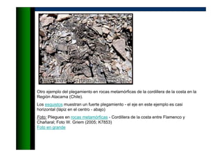Otro ejemplo del plegamiento en rocas metamórficas de la cordillera de la costa en la
Región Atacama (Chile).
Los esquistos muestran un fuerte plegamiento - el eje en este ejemplo es casi
horizontal (lápiz en el centro - abajo)
Foto: Pliegues en rocas metamórficas - Cordillera de la costa entre Flamenco y
Chañaral; Foto W. Griem (2005; K7853)
Foto en grande
 