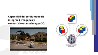 Capacidad del ser humano de
integrar 2 imágenes y
convertirlo en una imagen 3D.
 