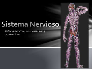 Sistema Nervioso, su importancia y
su estructura
 