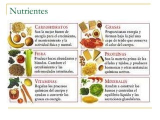 Nutrientes 