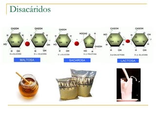 Disacáridos 