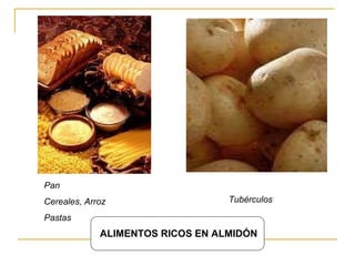 ALIMENTOS RICOS EN ALMIDÓN Pan Cereales, Arroz Pastas Tubérculos   