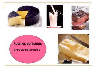 Fuentes de ácidos grasos saturados 