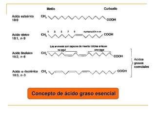 Concepto de ácido graso esencial 