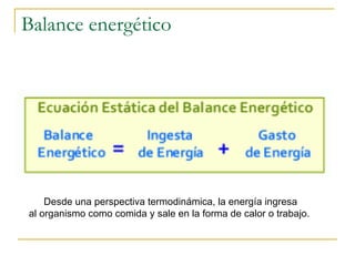 Balance energético Desde una perspectiva termodinámica, la energía ingresa al organismo como comida y sale en la forma de calor o trabajo.   