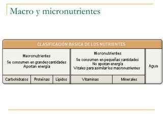 Macro y micronutrientes 