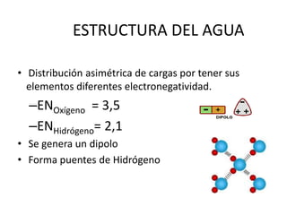 ESTRUCTURA DEL AGUA
• Distribución asimétrica de cargas por tener sus
elementos diferentes electronegatividad.
–ENOxígeno = 3,5
–ENHidrógeno= 2,1
• Se genera un dipolo
• Forma puentes de Hidrógeno
 