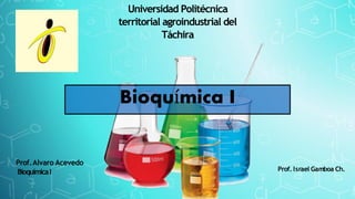 Bioquímica I
Prof.Alvaro Acevedo
BioquímicaI Prof. Israel Gamboa Ch.
Universidad Politécnica
territorial agroindustrial del
Táchira
 