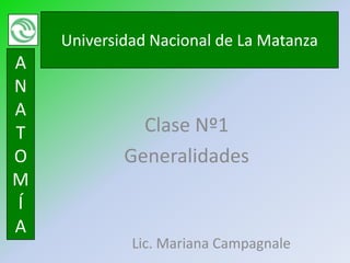 Universidad Nacional de La Matanza
A
N
A
T             Clase Nº1
O           Generalidades
M
Í
A
             Lic. Mariana Campagnale
 