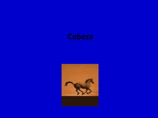 Cabeza

 