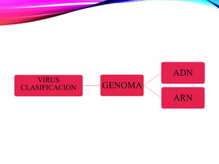 VIRUS
CLASIFICACION GENOMA
ADN
ARN
 