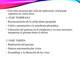 Una sola secuencia del ciclo de replicación viral puede
separarse en varias fases.
1. FASE TEMPRANA
• Reconocimiento de la célula diana apropiada
• Unión y penetración a la membrana plasmática,
• Liberación del genoma en el citoplasma y en caso necesario,
transportar el genoma hasta el núcleo.
2. FASE TARDÍA
• Replicación del genoma
• Síntesis macromolecular vírica
• Ensamblaje y la liberación de los virus.
 