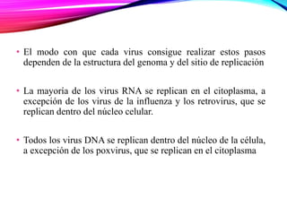 • El modo con que cada virus consigue realizar estos pasos
dependen de la estructura del genoma y del sitio de replicación
• La mayoría de los virus RNA se replican en el citoplasma, a
excepción de los virus de la influenza y los retrovirus, que se
replican dentro del núcleo celular.
• Todos los virus DNA se replican dentro del núcleo de la célula,
a excepción de los poxvirus, que se replican en el citoplasma
 