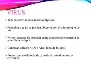 VIRUS
 Son parásitos intracelulares obligados.
Pequeños que no se pueden observar con el microscopio de
luz.
No son capaces de producir energía independientemente de
una célula huésped.
Genomas víricos: ARN o ADN (uno de los dos)
Poseen una morfología de cápside sin envoltura o con
envoltura.
 