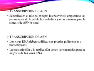 TRANSCRIPCIÓN DE ADN
• Se realiza en el núcleo(excepto los poxvirus), empleando las
polimerasas de la célula hospedadora y otras enzimas para la
síntesis de ARNm viral.
TRANSCRIPCIÓN DE ARN
• Los virus RNA deben codificar sus propias polimerasas o
transcriptasas
• La transcripción y la replicación deben ser separadas para la
mayoría de los virus RNA
 