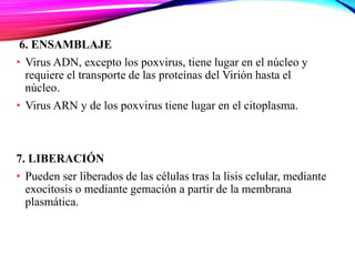 6. ENSAMBLAJE
• Virus ADN, excepto los poxvirus, tiene lugar en el núcleo y
requiere el transporte de las proteínas del Virión hasta el
núcleo.
• Virus ARN y de los poxvirus tiene lugar en el citoplasma.
7. LIBERACIÓN
• Pueden ser liberados de las células tras la lisis celular, mediante
exocitosis o mediante gemación a partir de la membrana
plasmática.
 