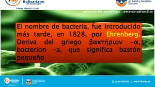 El nombre de bacteria, fue introducido
más tarde, en 1828, por Ehrenberg.
Deriva del griego βακτήριον -α,
bacterion -a, que significa bastón
pequeño
 