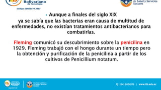  Aunque a finales del siglo XIX
ya se sabía que las bacterias eran causa de multitud de
enfermedades, no existían tratamientos antibacterianos para
combatirlas.
Fleming comunicó su descubrimiento sobre la penicilina en
1929. Fleming trabajó con el hongo durante un tiempo pero
la obtención y purificación de la penicilina a partir de los
cultivos de Penicillium notatum.
 