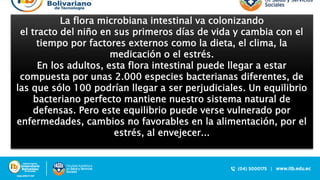La flora microbiana intestinal va colonizando
el tracto del niño en sus primeros días de vida y cambia con el
tiempo por factores externos como la dieta, el clima, la
medicación o el estrés.
En los adultos, esta flora intestinal puede llegar a estar
compuesta por unas 2.000 especies bacterianas diferentes, de
las que sólo 100 podrían llegar a ser perjudiciales. Un equilibrio
bacteriano perfecto mantiene nuestro sistema natural de
defensas. Pero este equilibrio puede verse vulnerado por
enfermedades, cambios no favorables en la alimentación, por el
estrés, al envejecer...
 
