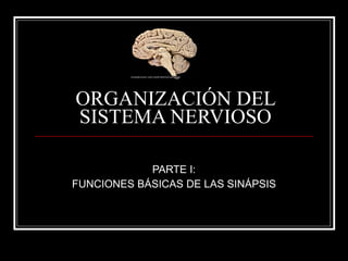 ORGANIZACIÓN DEL
SISTEMA NERVIOSO

            PARTE I:
FUNCIONES BÁSICAS DE LAS SINÁPSIS
 