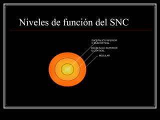 Niveles de función del SNC
                 ENCEFALICO INFERIOR
                 O SUBCORTICAL

                 ENCEFÁLICO SUPERIOR
                 O CORTICAL

                      MEDULAR
 