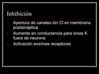 Inhibición
1.   Apertura de canales ión Cl en membrana
     postsináptica
2.   Aumento en conductancia para iones K
     fuera de neurona
3.   Activación enzimas receptoras
 