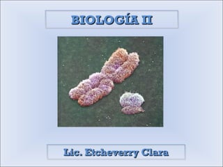 BIOLOGÍA II Lic. Etcheverry Clara 