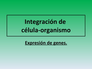 Expresión de genes. Integración de  célula-organismo 