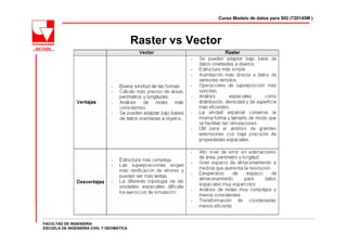 Curso Modelo de datos para SIG (720145M )




                                          Raster vs Vector




FACULTAD DE INGENIERÍA
ESCUELA DE INGENIERÍA CIVIL Y GEOMÁTICA
 