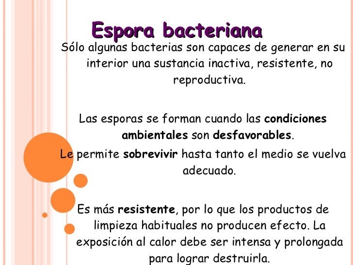 Clase 2