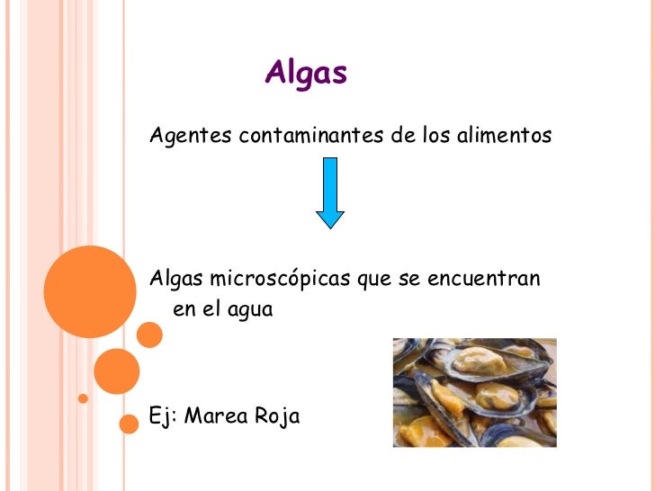 Los parásitos y sus impactos